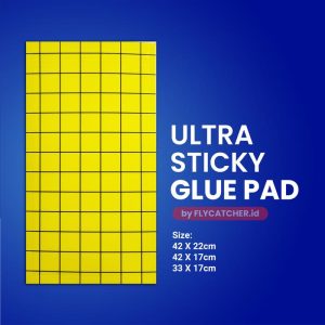 Glue Pad 42x22
