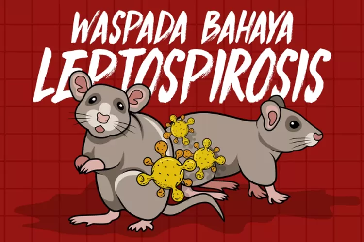 Bahaya Tikus di Rumah