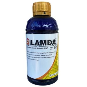 silambada