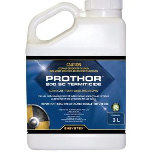 Prothor